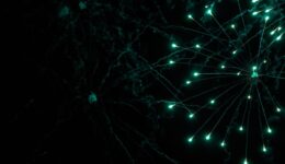 Night sky salute. A photo of a salute in the sky. Abstract salute texture. Texture of bright lights, abstract figures in the sky. Multicolored flares of lights. Photo for textures and processing